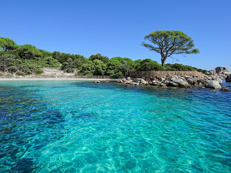 Corse Voile Location Palombagia