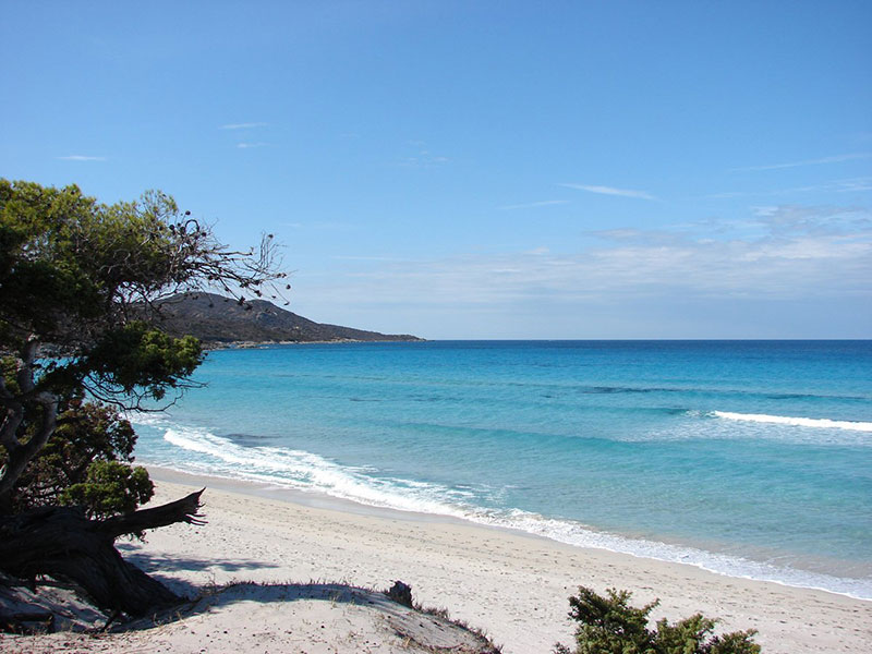 Corse Voile Location Plage du saleccia Saint-Florent