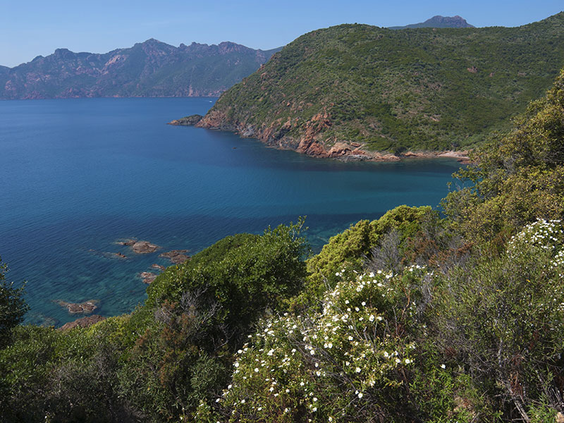 Corse Voile Location Scandola
